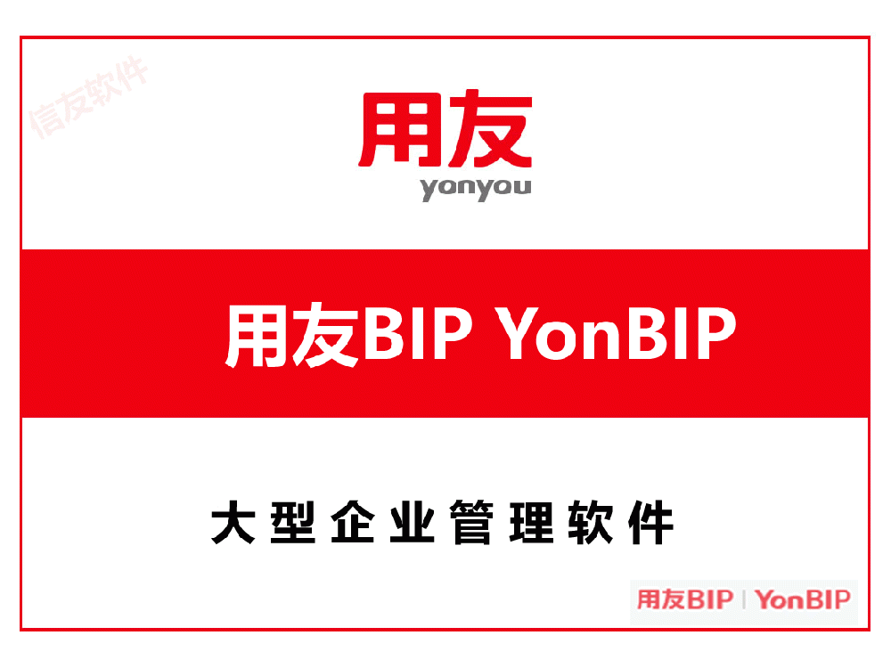 用友 BIP